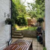 Photo 8: Garden