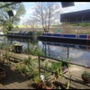 Photo 9: Communal Terrace