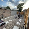 Photo 5: Communal outside space