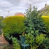 Photo 9: Communal garden area