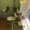 Photo 7: The Bathroom