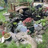 Photo 7: Pond with small waterfall