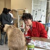 Photo 2: Cat connoisseur 