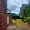 Photo 9: Garden