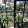 Photo 7: South view over landscaped garden
