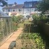 Photo 2: Garden Growing patch