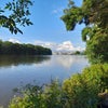 Photo 6: River across the road