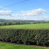Photo 7: View from garden