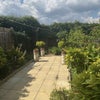 Photo 3: Back garden
