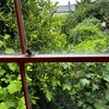 Photo 6: View from Windowd