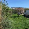 Photo 9: Front garden with parking