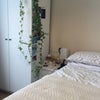 Photo 9: Bedroom 3