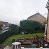 Photo 5: Garden