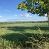 Photo 6: Countryside walks nearby.
