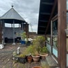 Photo 7: Roof Terrace