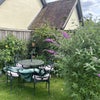 Photo 7: Garden