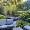 Photo 2: Garden or Patio