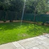 Photo 8: Peaceful back garden