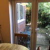 Photo 7: Back yard
