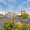 Photo 8: Shared Roof Terrace