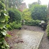 Photo 5: back garden