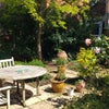 Photo 9: Shared Back garden