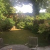 Photo 7: Garden