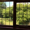 Photo 4: View from bedroom window