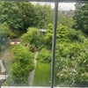 Photo 2: Garden view 