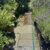 Photo 4: Lovely garden 