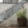 Photo 4: Stair entrance from front garden