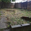 Photo 6: Back garden