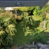 Photo 2: Garden 