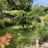 Photo 9: The garden