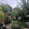 Photo 5: view from kitchen to garden/patio