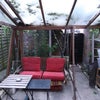 Photo 3: garden