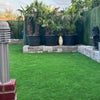 Photo 7: Back garden artificial grass its perfect