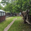 Photo 4: garden