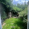 Photo 9: Garden