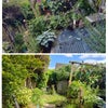 Photo 9: Private secluded garden