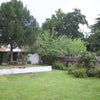 Photo 7: Garden