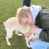 Photo 4: Luv dogs
