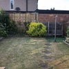 Photo 9: Back Garden 