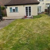 Photo 5: Back garden 