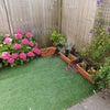 Photo 9: Back garden