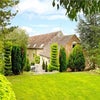 Photo 9: Garden