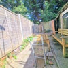 Photo 10: Lovely outdoor garden space!