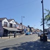 Photo 8: Newland Avenue