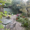 Photo 7: Garden view from the room