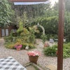 Photo 9: Garden view from kitchen